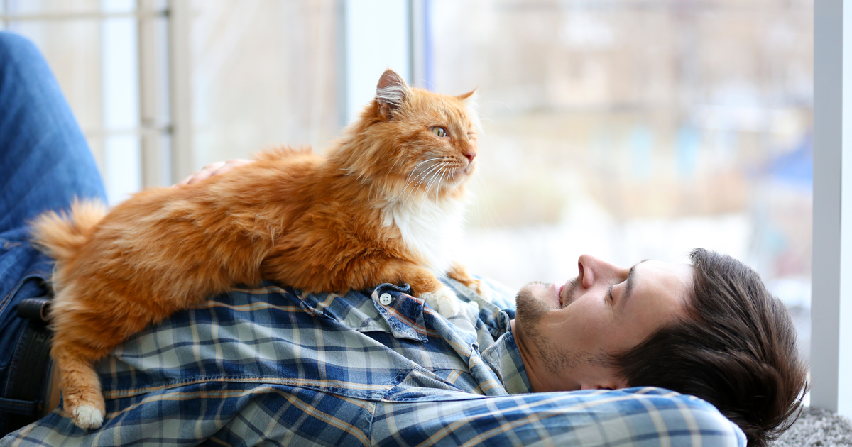 Uomo con gatto arancio